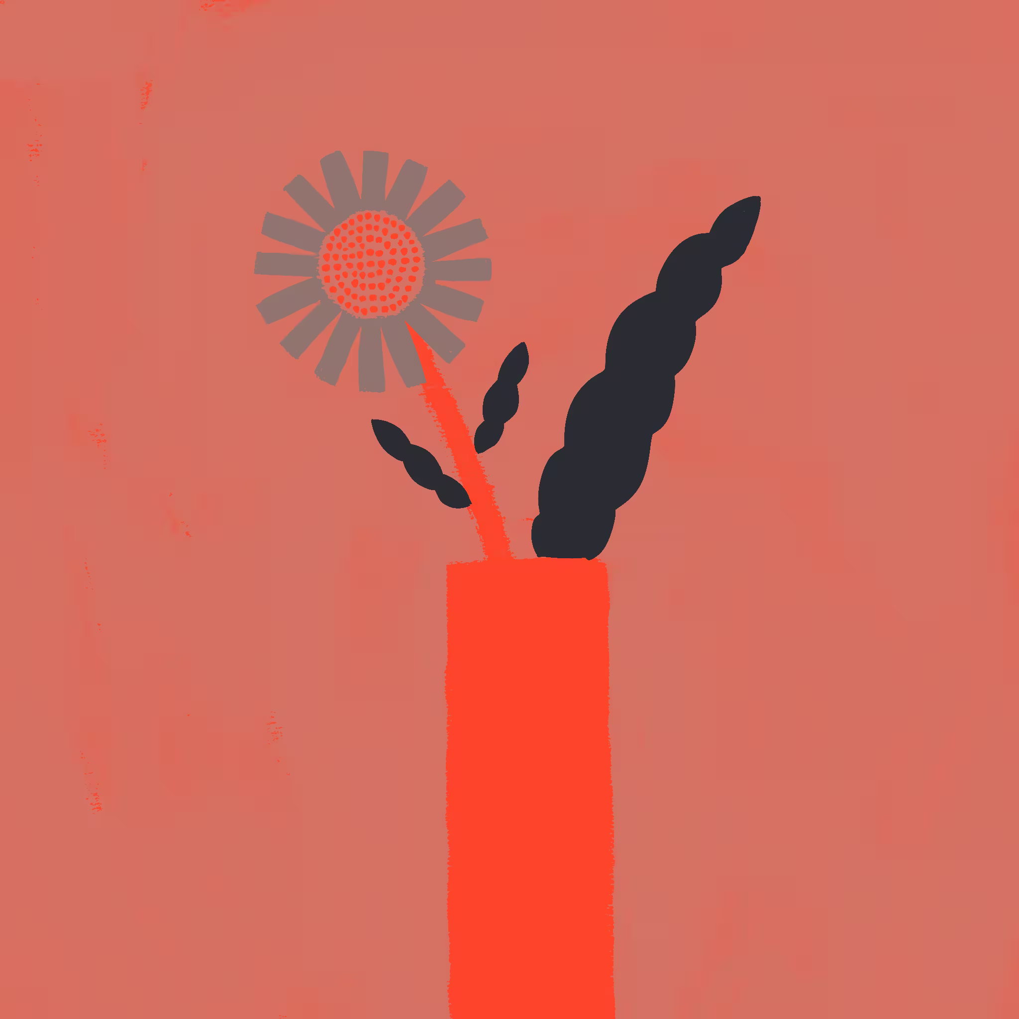 Tall narrow red vase holding a single grey daisy-like bloom and dark twisted leaves on a coral background