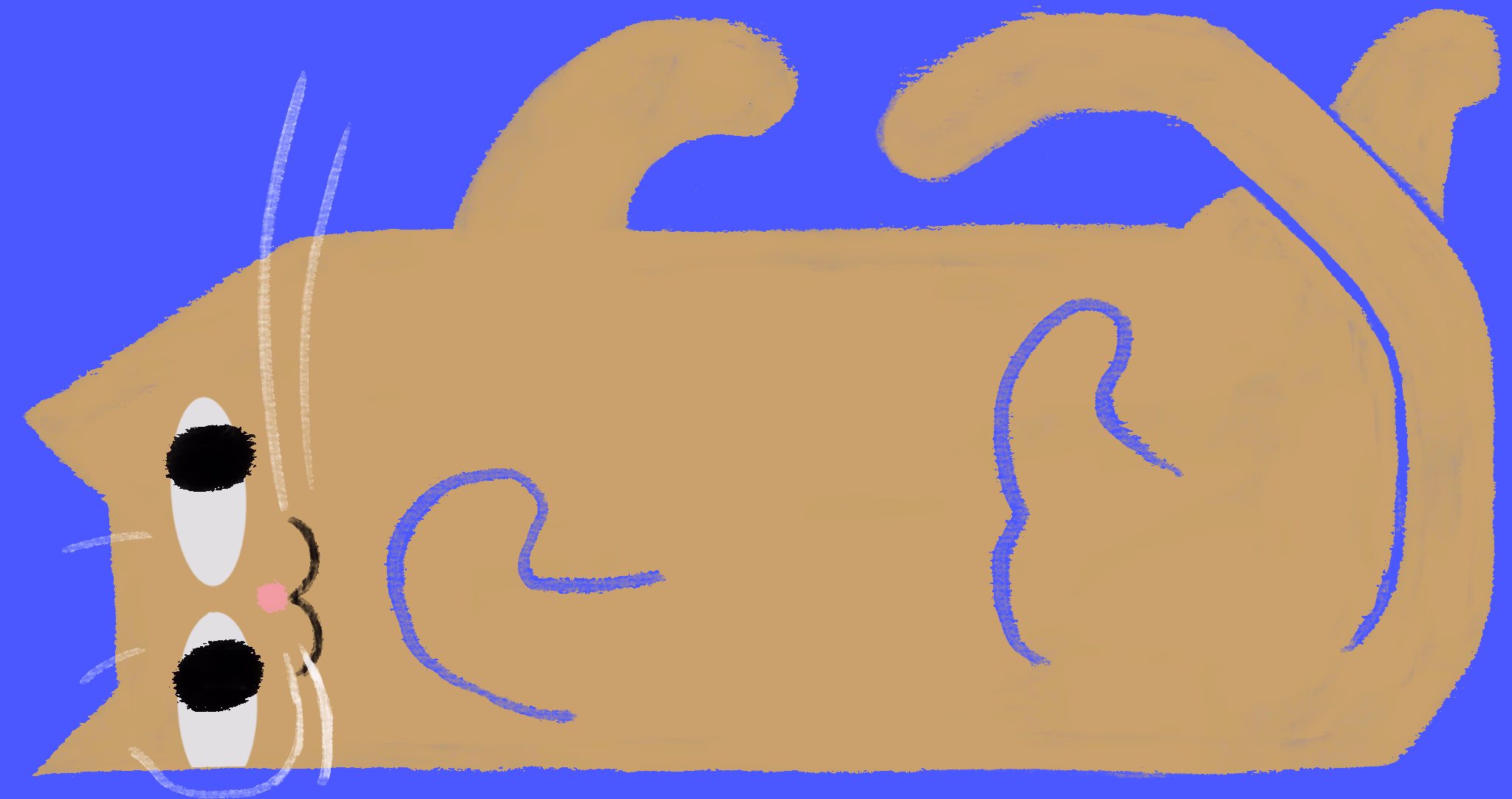 Tan cat lying upside-down on an indigo background, paws in the air and pink nose