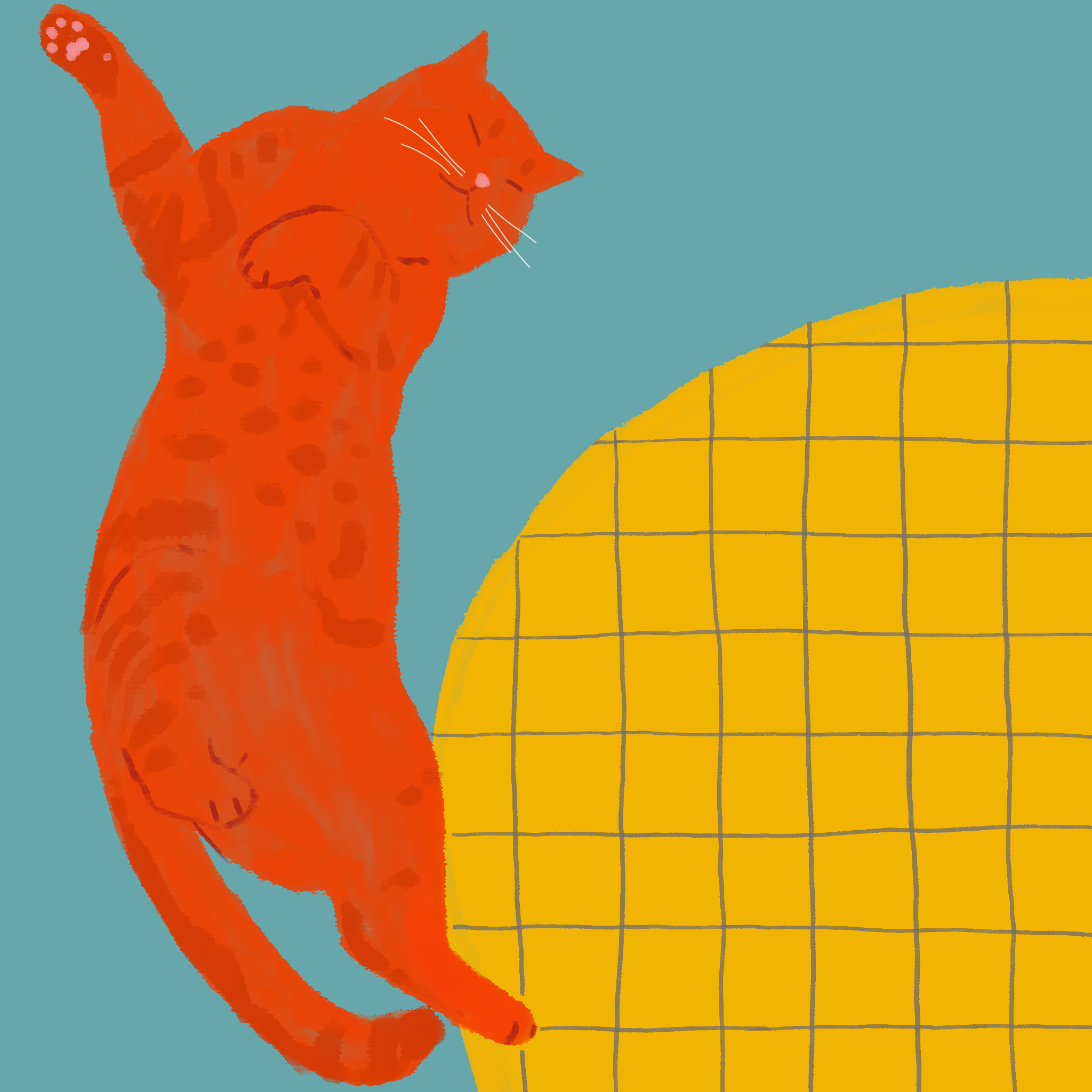 Bright red tabby cat stretched out on a teal background beside a round yellow grid-patterned cushion