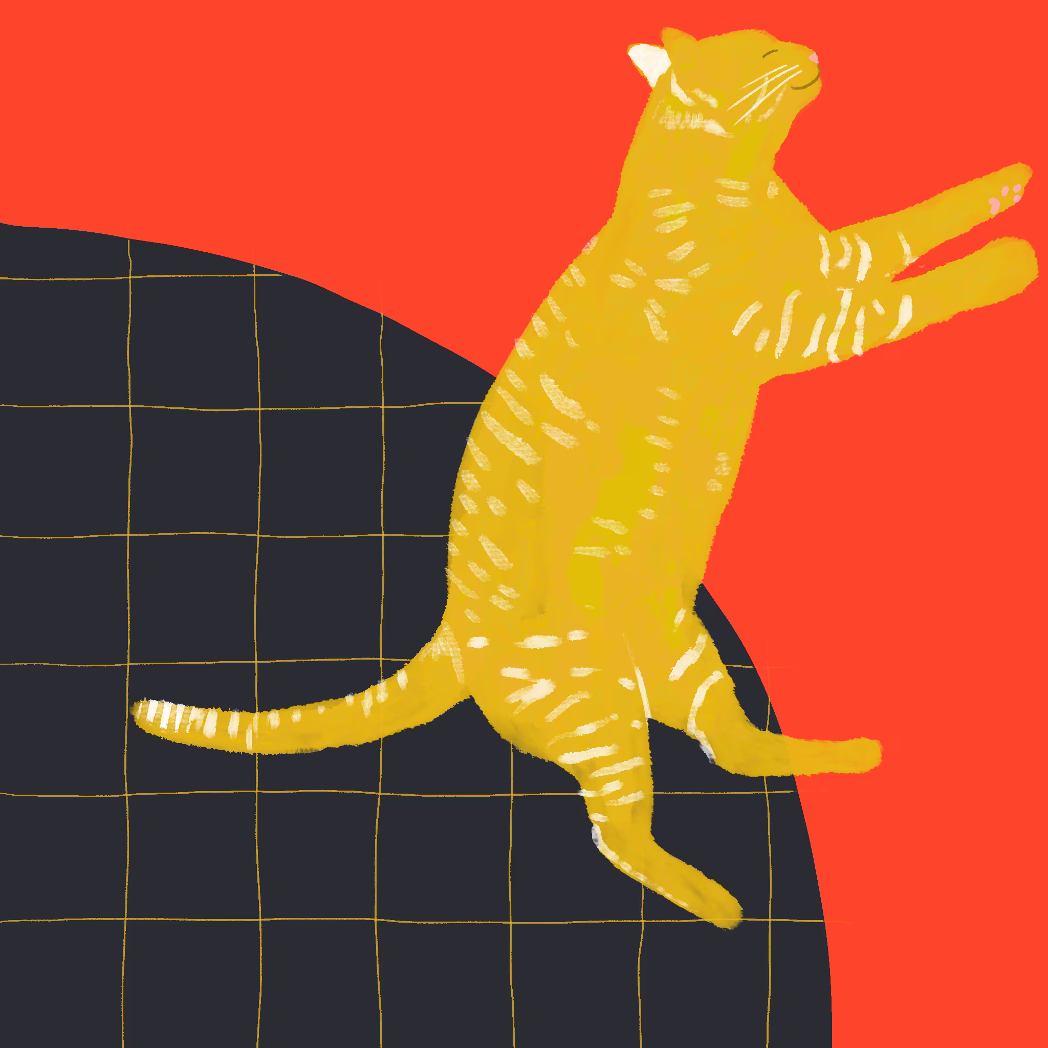 Yellow tabby cat lying on its back on a red background beside a round black grid-patterned cushion, paws in the air
